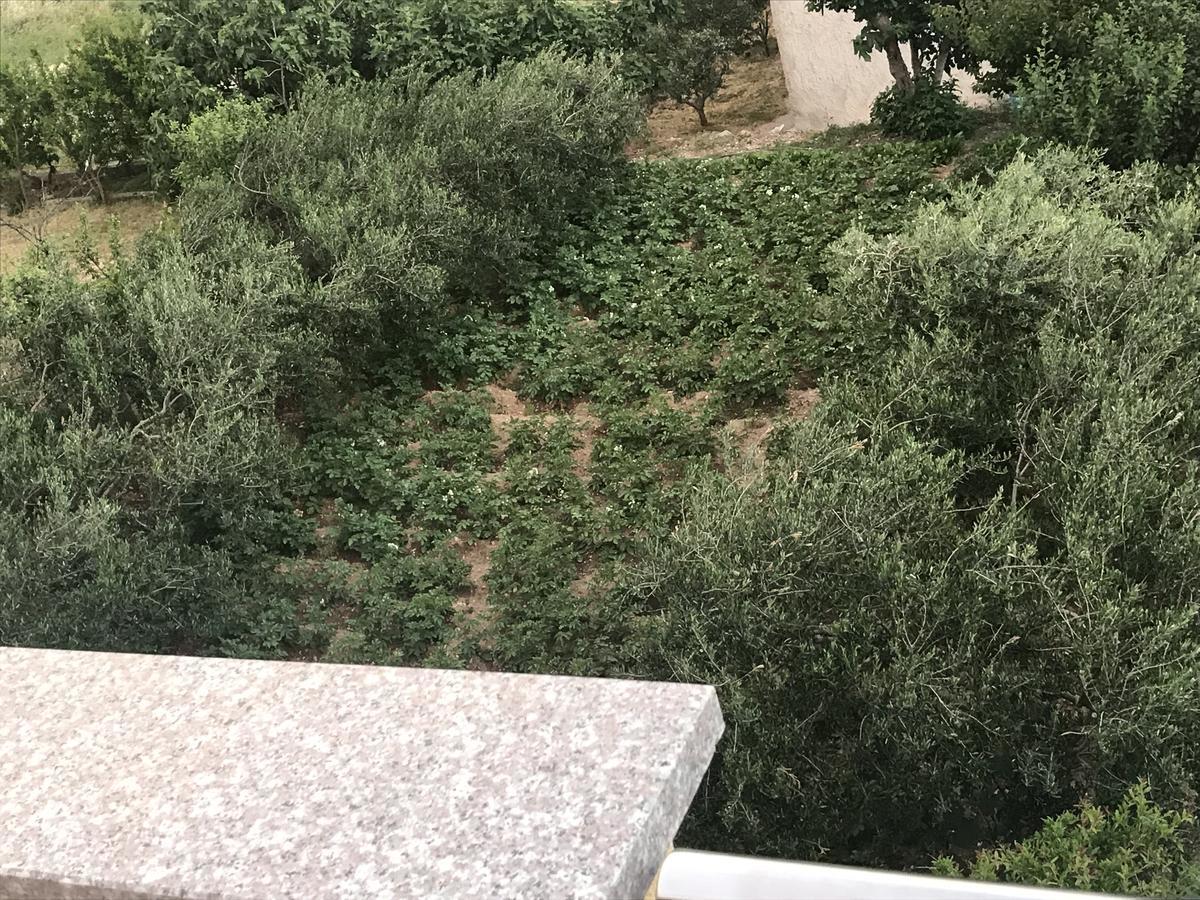 Apartman Mig Solin Exteriér fotografie
